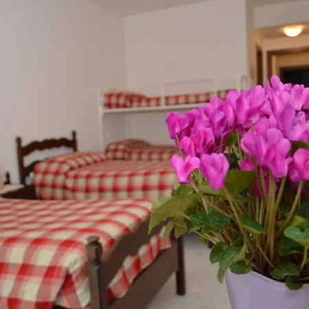 Domus Achille Fosco Guest house *